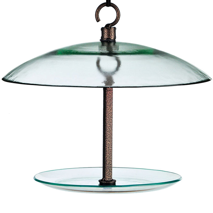 Petite Seed Cylinder Feeder with a glass dome, hanging from a chain, featuring a bottom tray and eco-friendly materials, suitable for various bird seed cylinders.