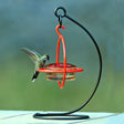 Sphere Hummingbird Set: A hummingbird feeds from a minimalist sphere feeder on a tabletop steel hanger, designed for close-up viewing and easy maintenance.