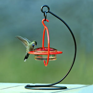 Sphere Hummingbird Set: A hummingbird feeds from a minimalist sphere feeder on a tabletop steel hanger, designed for close-up viewing and easy maintenance.