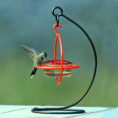 Sphere Hummingbird Set: A hummingbird feeds from a minimalist sphere feeder on a tabletop steel hanger, designed for close-up viewing and easy maintenance.