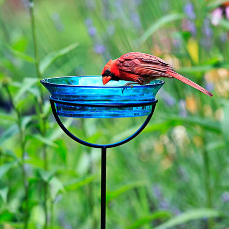 Cuban Garden Stake with a glass birdbath featuring a bird perched on it, showcasing its eco-friendly, adjustable-height design.