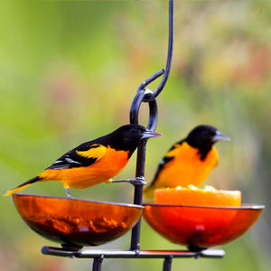 Mosaic Birds Side by Side Poppy Feeder, Orange