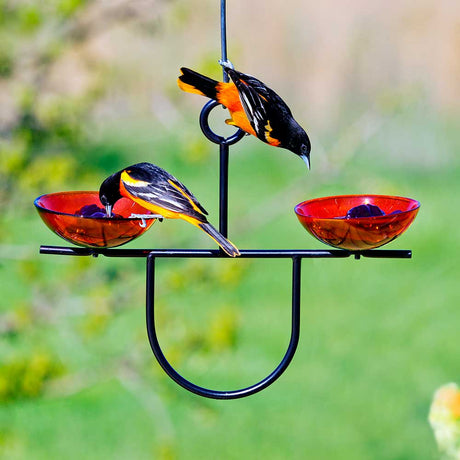 Mosaic Birds Side by Side Poppy Feeder with two red glass dishes, two birds feeding, and a sturdy metal hanger for outdoor bird watching.