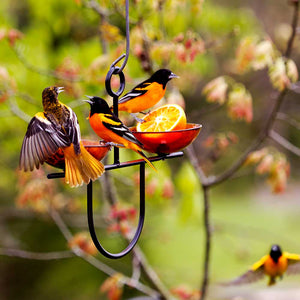 Mosaic Birds Side by Side Poppy Feeder, Orange