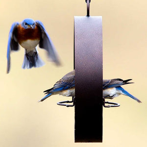 Bluebird Feeder & Sphere: A bluebird flying next to a decorative copper tray bird feeder with built-in perches and a screened mesh tray.