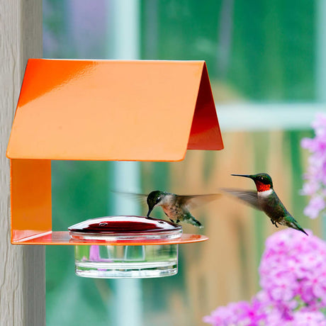 The Cottage Hummingbird Feeder Orange with a red glass lid, four feeding ports, and perching areas, with a hummingbird drinking from it.