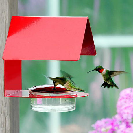 The Cottage Hummingbird Feeder Red featuring a glass dish, steel frame, and multiple feeding ports, with a hummingbird feeding at one of the ports.