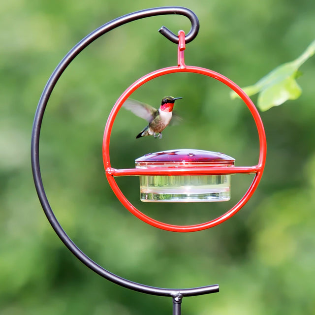 Hummble Garden Stake & Hummingbird Feeder featuring a red sphere feeder, metal stake, and adjustable height, designed to attract hummingbirds in your garden.