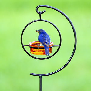 Hummble Garden Stake & Dish Feeder featuring a blue bird perched on a glass dish feeder attached to a sturdy metal stake.