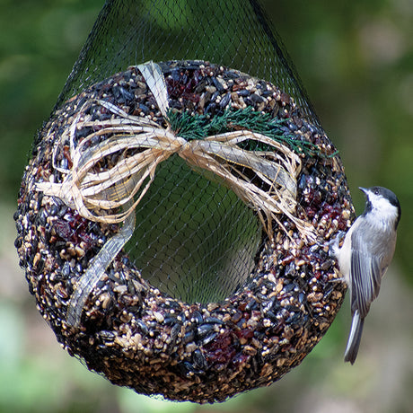 Gourmet Pecan Bird Seed Wreath hanging with a bird feeding, featuring seeds, nuts, raisins, and decorative elements like a raffia bow and juniper berries.