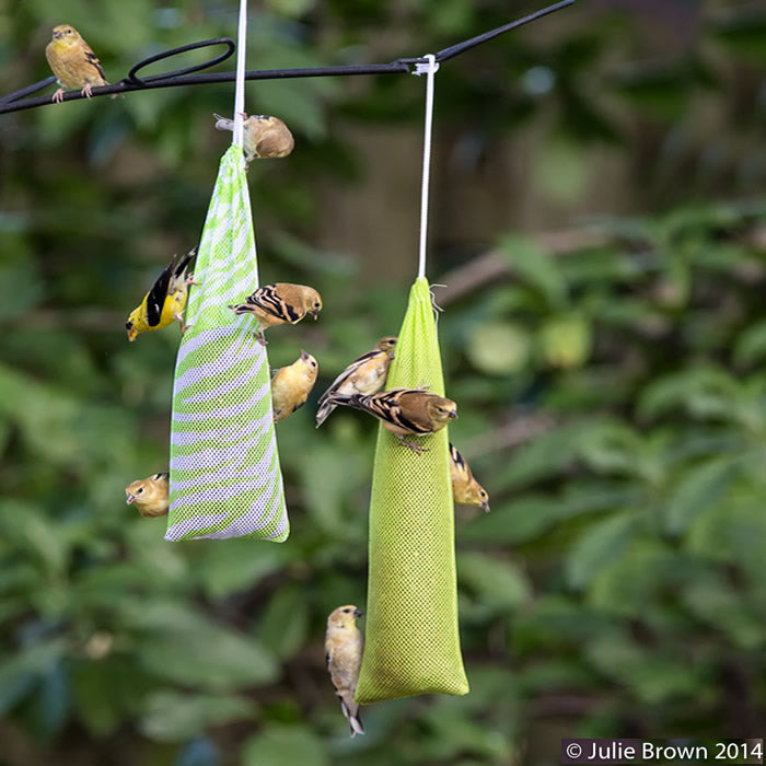 Mr. Canary Finch Sock Feeders, Set of 2 Boxes, with small songbirds feeding on nylon-mesh bags filled with Nyjer® seed.