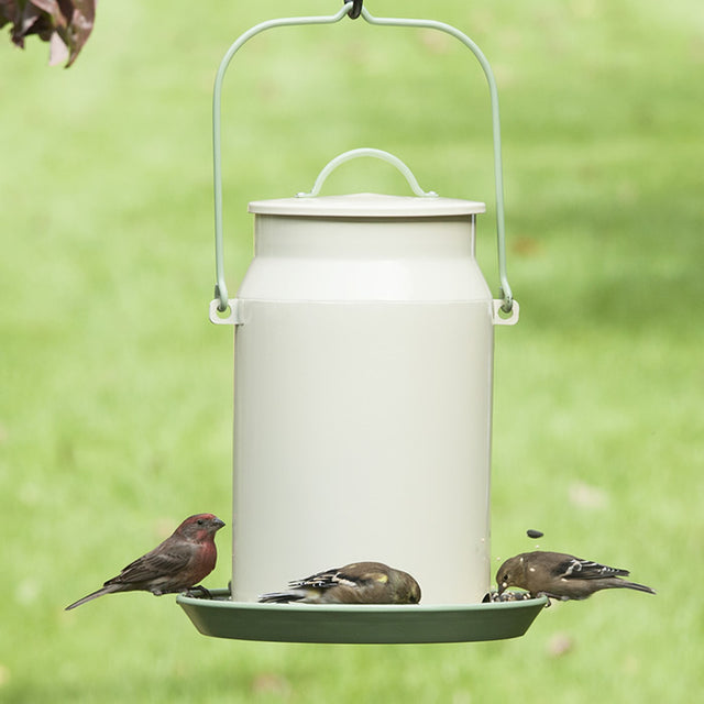 Milk Pail Bird Feeder with wraparound perch, decorative locking lid, and six feeding ports, designed for outdoor use to easily attract and feed multiple birds.