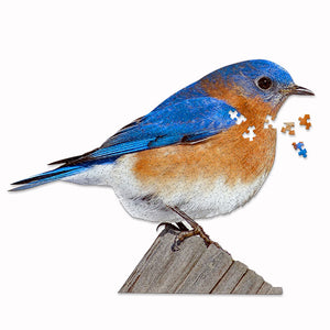 I Am Bluebird 300 pc. Puzzle featuring a bluebird-shaped design, semi-gloss finish, and educational facts booklet.