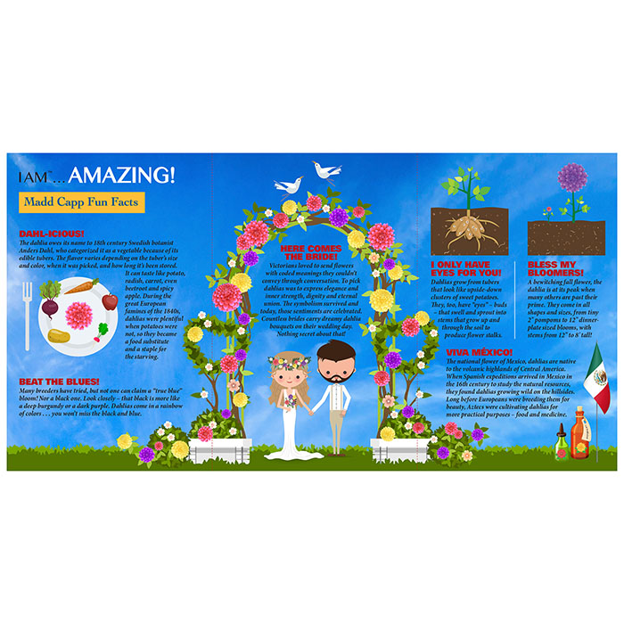 I Am Dahlia 350 pc. Puzzle featuring a brochure with cartoon characters and flowers, includes educational booklet with gardening tips and a fold-out puzzle image.