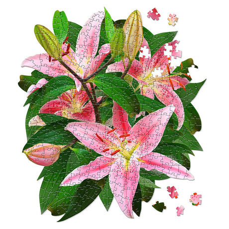 I Am Lily 350 pc. Puzzle: Floral-shaped jigsaw puzzle depicting a pink lily, includes Fun Facts booklet, gardening tips, and fold-out image. 350 pieces, 18 x 21 inches.