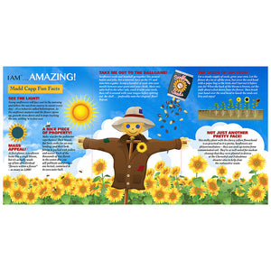 I Am Sunflower 350 pc. Puzzle: a scarecrow in a sunflower field, with an educational booklet and gardening tips included.