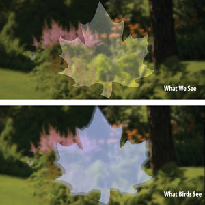 Duncraft Bird-Safe® Maple Leaf Window Strike Decals, set of 6, featuring translucent, leaf-shaped design to prevent bird collisions while maintaining clear window views.