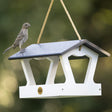 Modern Farmhouse Fly-Thru Bird Feeder with a sparrow perched on it, showcasing its open platform design and durable build from recycled plastic.