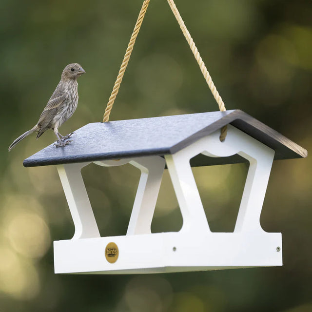 Modern Farmhouse Fly-Thru Bird Feeder, Black and White – Duncraft