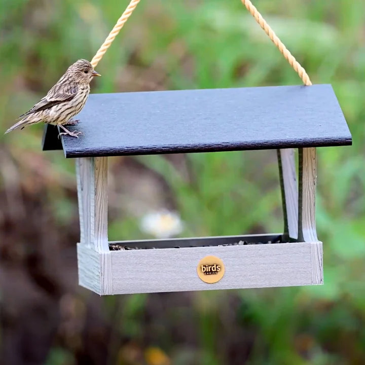 Modern Farmhouse Fly-Thru Bird Feeder with a sparrow perched on it, showcasing its open platform and durable driftwood recycled plastic construction.