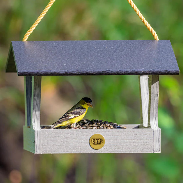 Modern Farmhouse Fly-Thru Bird Feeder with a yellow and black bird perched on it, showcasing its open platform and durable driftwood design.