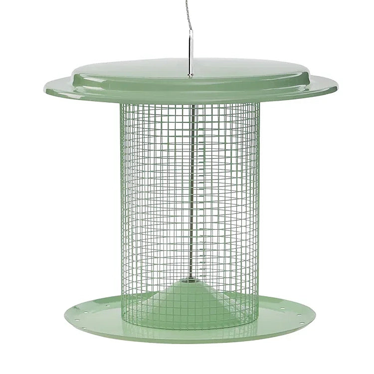 Sage green sunflower seed bird feeder with metal mesh screen and wide.