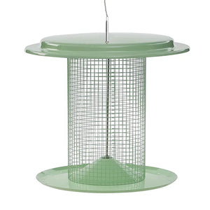 Sage green sunflower seed bird feeder with metal mesh screen and wide.