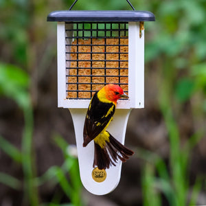 Modern Farmhouse Suet Feeder with Tail Prop, featuring a sleek design, holds one suet cake for woodpeckers, with a top-lifting roof for easy refilling.