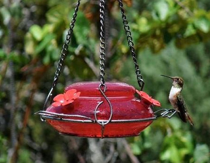 Red Crackle Modern Top Fill Hummingbird Feeder with handblown crackle glass, three leaf-shaped perches, and a metal hanging chain.