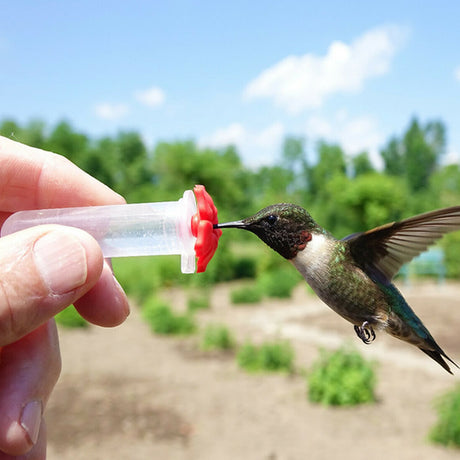 MINI HUM-fi™ Handheld Hummingbird Feeder in use, feeding a hummingbird from a syringe held by a hand. Clear plastic tube visible for nectar monitoring.