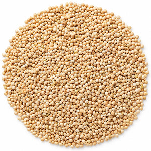 Cole's White Millet Wild Bird Seed, 10-lb bag, featuring a pile of white millet seeds, ideal for ground-feeding birds like buntings and juncos.