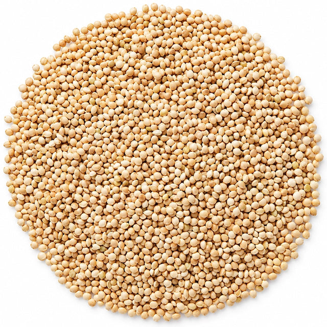 Cole's White Millet Wild Bird Seed, 10-lb bag, featuring a pile of white millet seeds, ideal for ground-feeding birds like buntings and juncos.