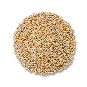 Cole's White Millet Wild Bird Seed, 10-lb bag, featuring a pile of white millet seeds, ideal for ground-feeding birds like buntings and juncos.