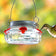 Nature's Way Mason Jar Hummingbird Feeder with red flower ports and metal hanger, attracting a greenish hummingbird at one feeding port.