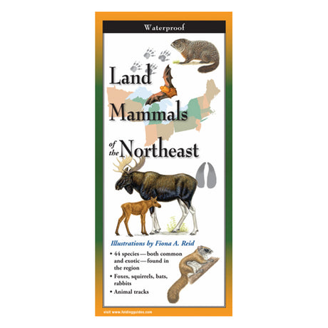 Land Mammals of the Northeast Folding Guide showing illustrations of various animals like moose and squirrel, with identification tips and track dimensions.