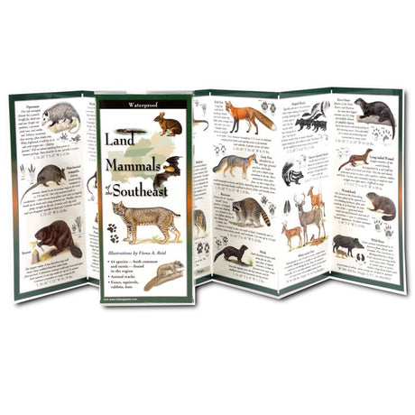 Close-up of the Land Mammals of the Southeast Folding Guide, featuring illustrations of various animals on a waterproof, fold-out brochure for easy identification.