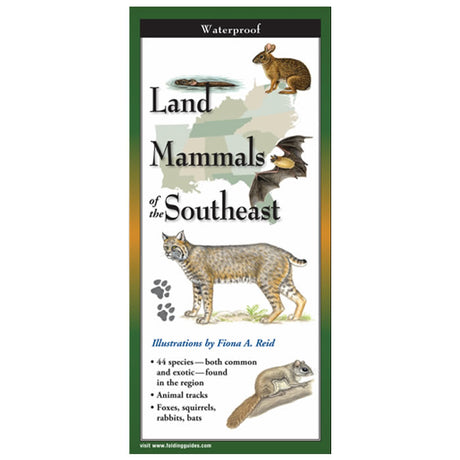 Land Mammals of the Southeast Folding Guide displaying illustrations of a lynx, rabbit, squirrel, and bat with identification text.