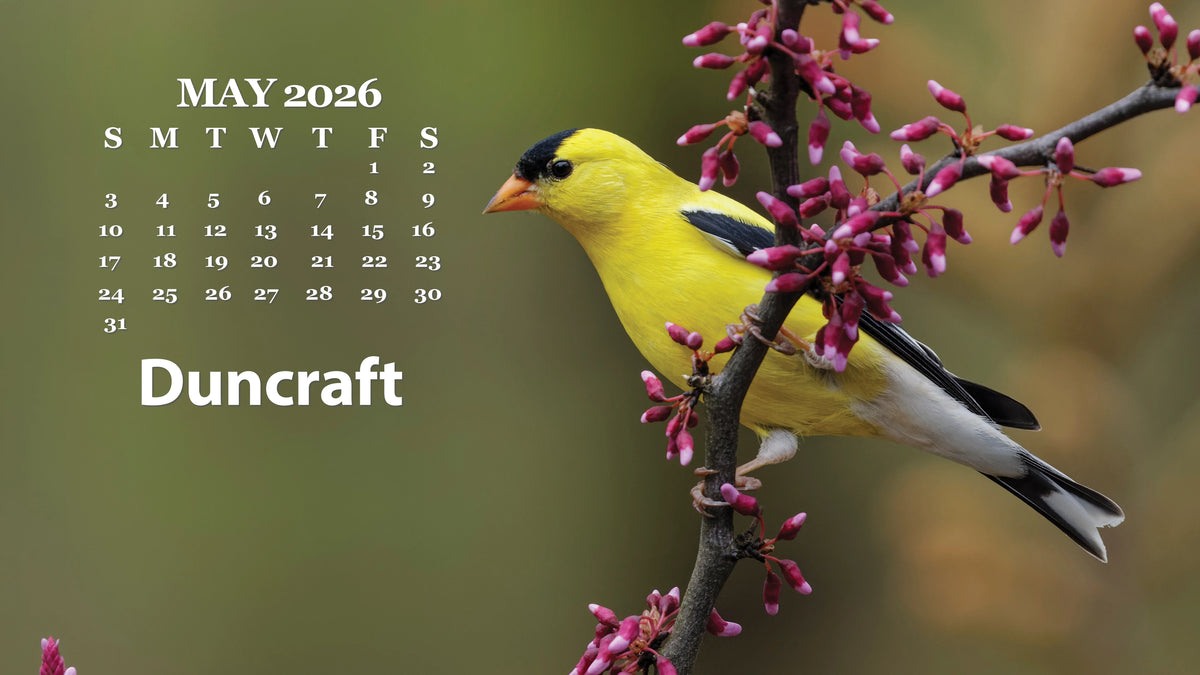 Duncraft Desktop Calendar | Bird Computer Wallpaper | Duncraft