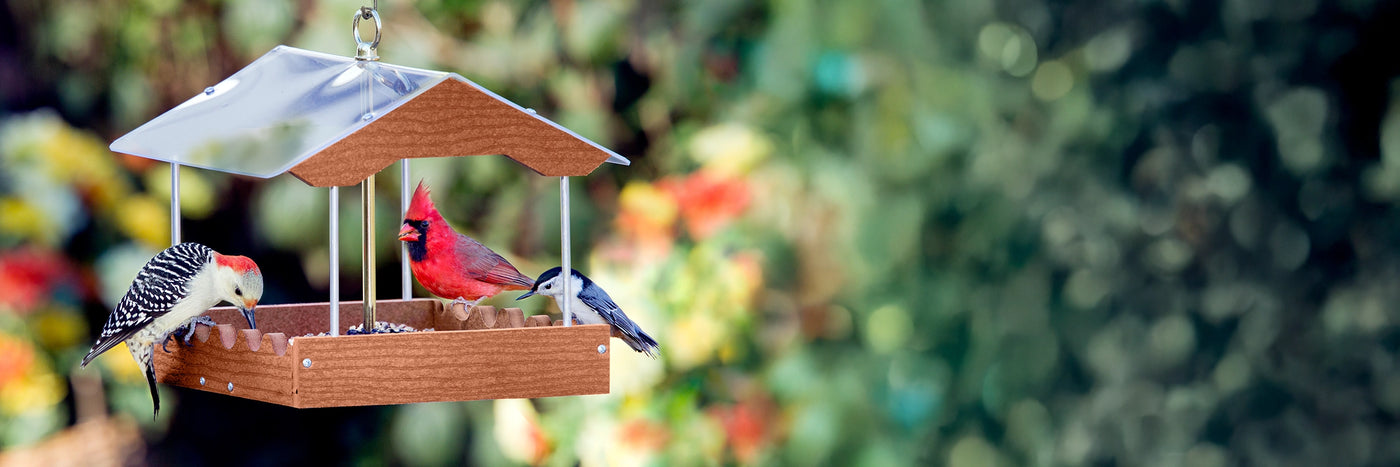 Hanging platform bird feeder with birds eating seed from a tray.  Cardinal, woodpecker and nuthatch.