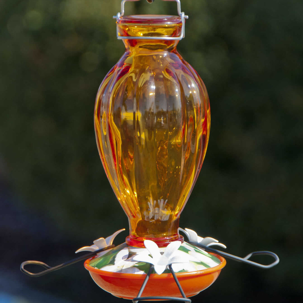 Fluted Glass Oriole Feeder