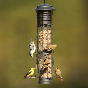 Dragonfly Squirrel-Resistant Bird Feeder