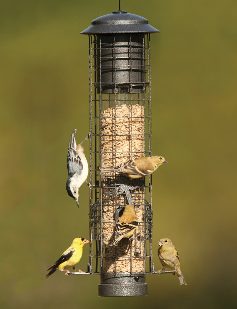 Dragonfly Squirrel-Resistant Feeder with birds perched on weight-activated perches, enclosed in a steel cage with decorative dragonfly design.