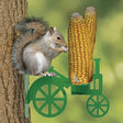 Squirrel eating corn on the Corn on the Tractor Squirrel Feeder, which resembles a green toy bike. Feeder holds two corn cobs, providing durable entertainment.