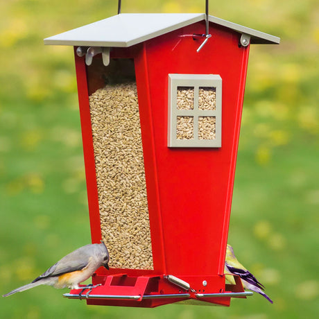 Snack Shack Resistor Feeder: Red, house-shaped bird feeder with clear panels, two perches, filled with seed; titmouse and goldfinch visible, squirrel-resistant design.