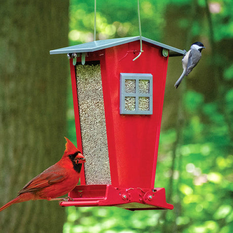 Snack Shack Resistor Feeder with a red bird eating from it. Features squirrel-resistant design, weight-activated perches, and clear windows for seed level viewing.