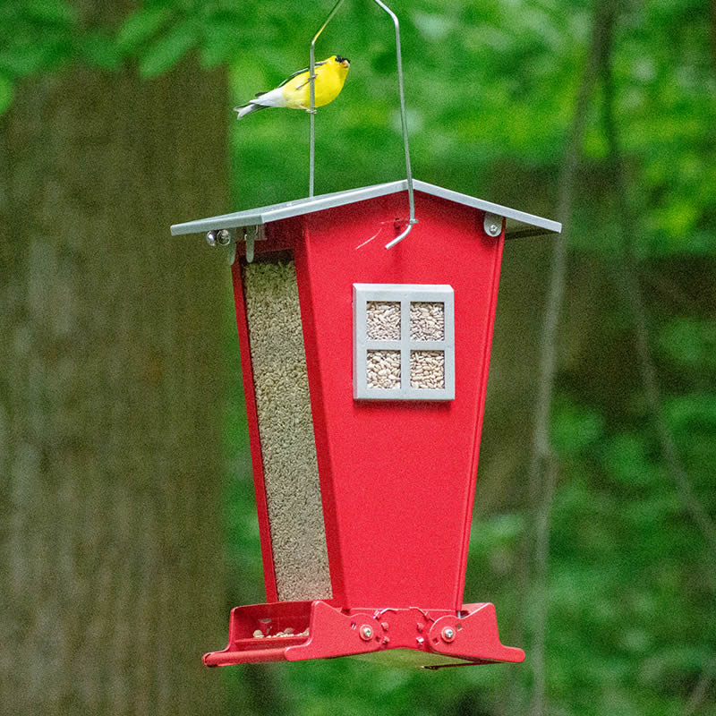 Snack Shack Resistor Feeder with a yellow bird perched, demonstrating weight-activated perches and clear windows for seed level viewing.