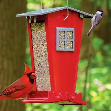 Snack Shack Resistor Feeder with cardinal and chickadee, red house shape, weight-activated perches, clear windows, and lockable roof to deter squirrels.