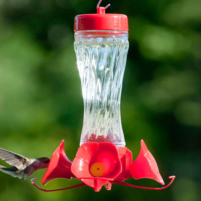 8 oz. Glass Spiral Hummingbird Feeder with clear glass reservoir and red plastic base, featuring 4 feeding stations and easy-to-monitor nectar levels.