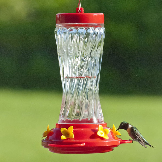 16 oz. Spiral Glass Hummingbird Feeder with a red lid, 6 feeding ports, and an S-hook for hanging, shown attracting a hummingbird.