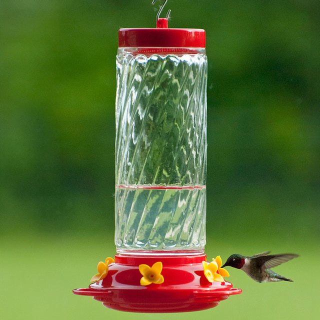 30 oz. Large Glass Hummingbird Feeder with red cap, six yellow flower-shaped feeding ports, and clear reservoir, shown with a hummingbird feeding.